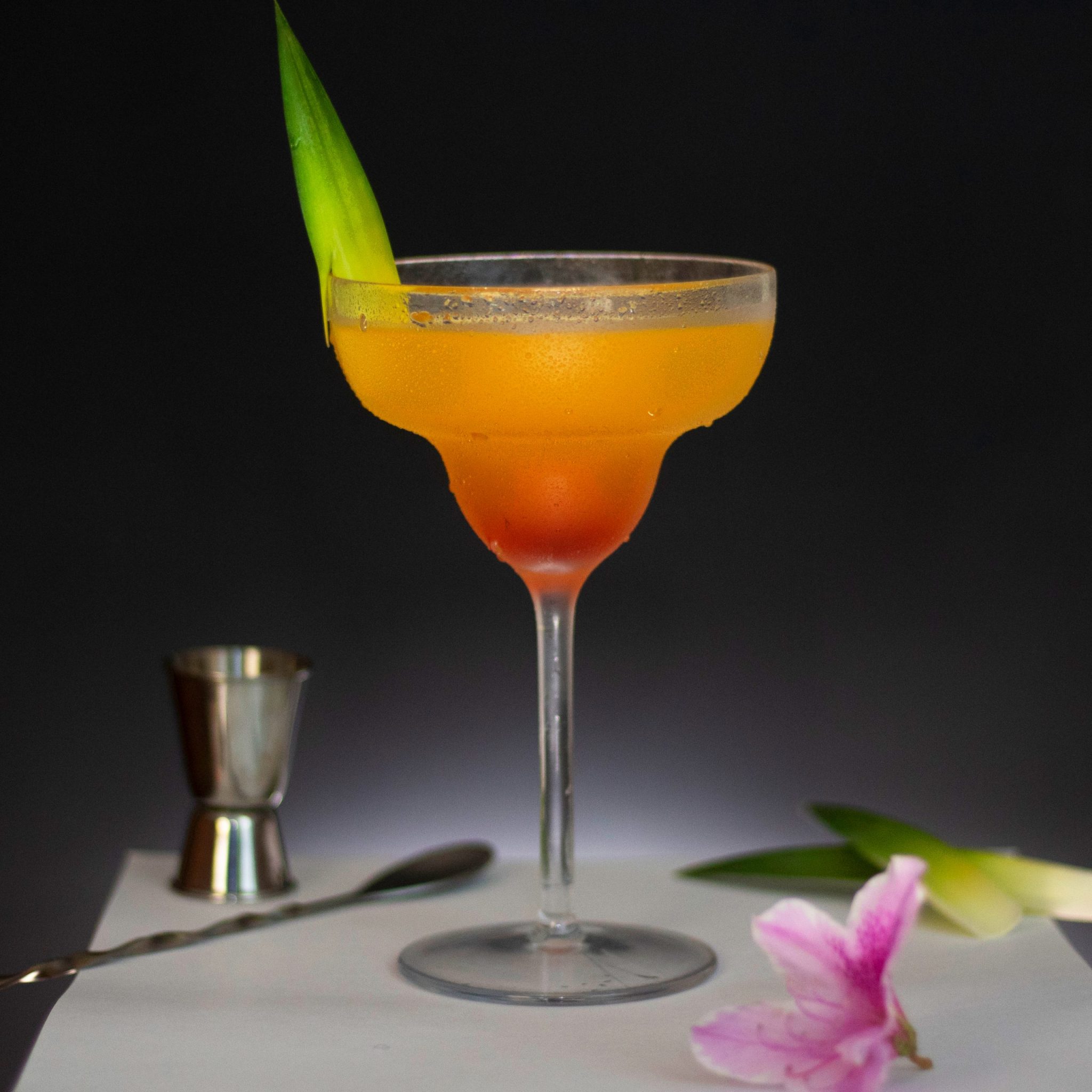 Caribbean-55-1-scaled